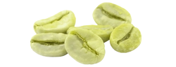 Green Coffee Seed Extract (Coffea arabica)